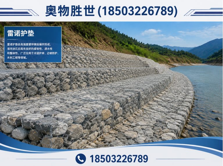 荆州雷诺护垫展示图